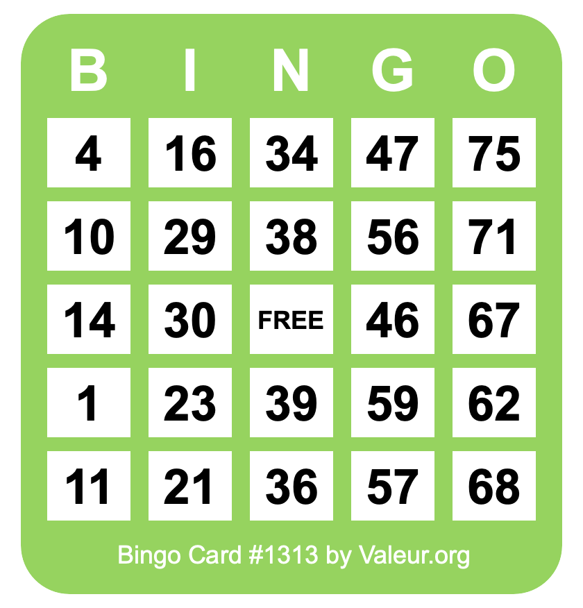 Bingo Card #1313
