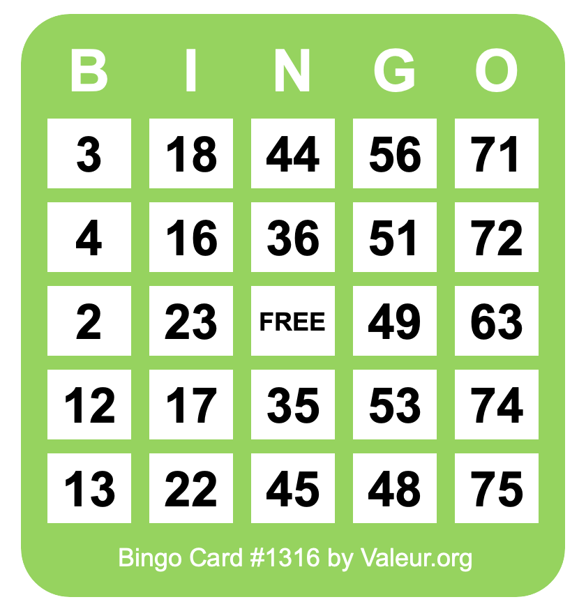 Bingo Card #1316