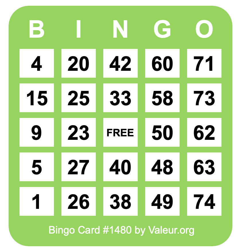 Bingo Card #1480