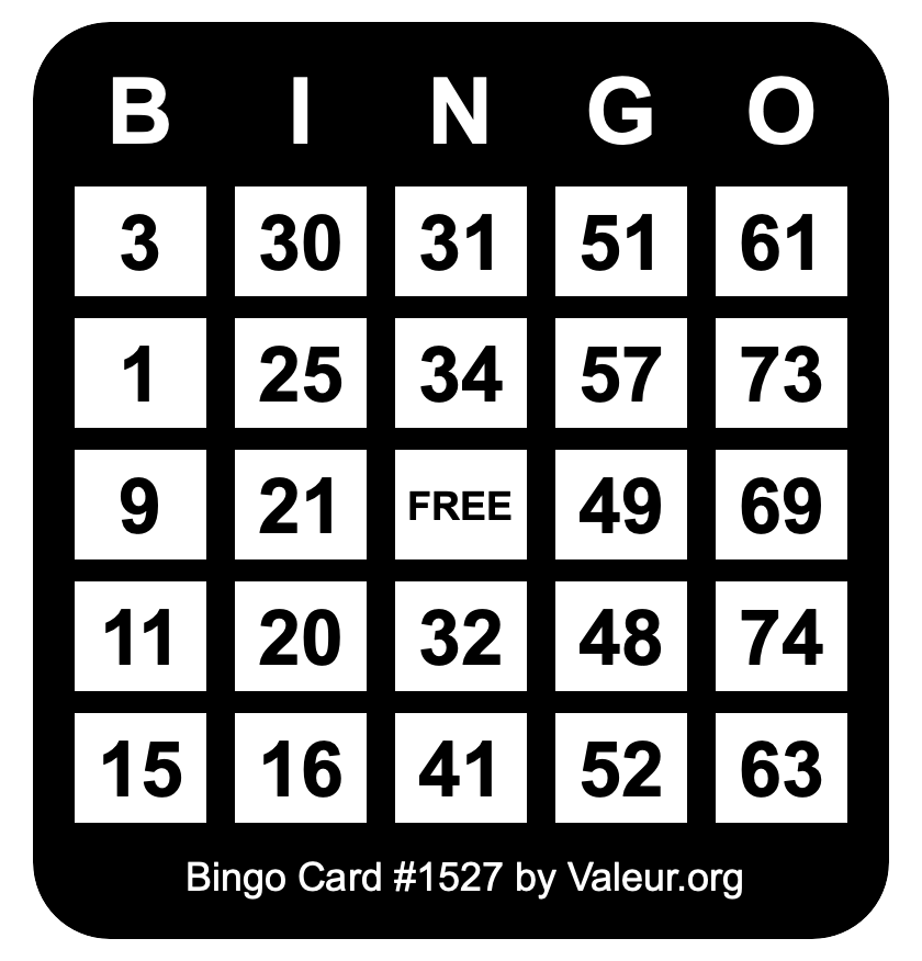 Bingo Card #1527