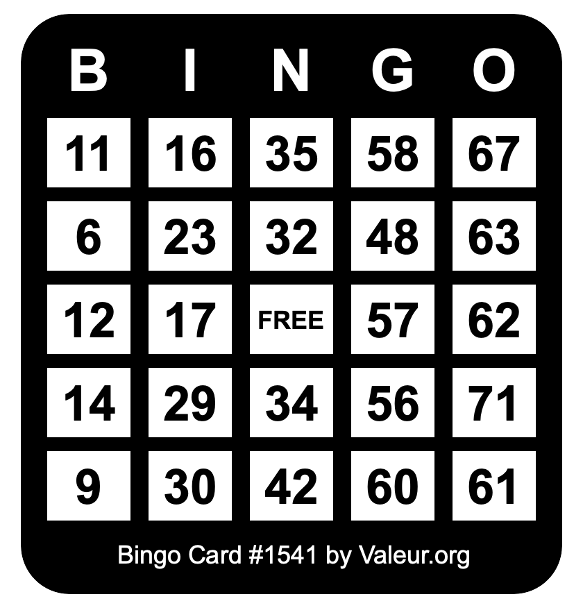 Bingo Card #1541 Bingo Card #1541