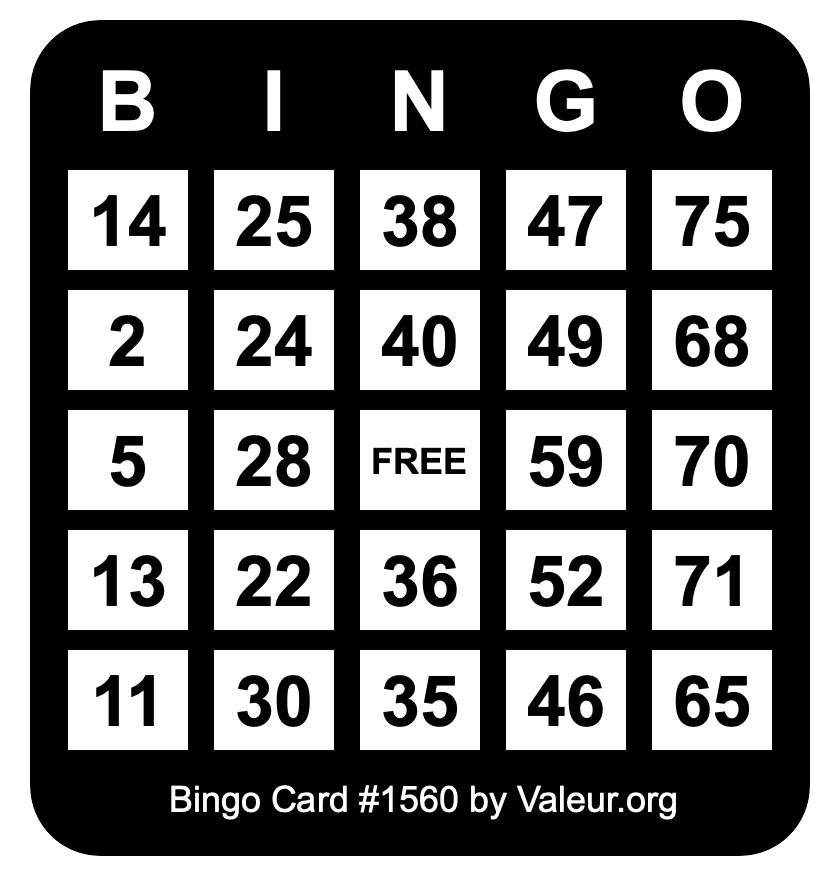 Bingo Card #1560