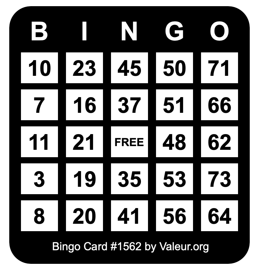 Bingo Card #1562