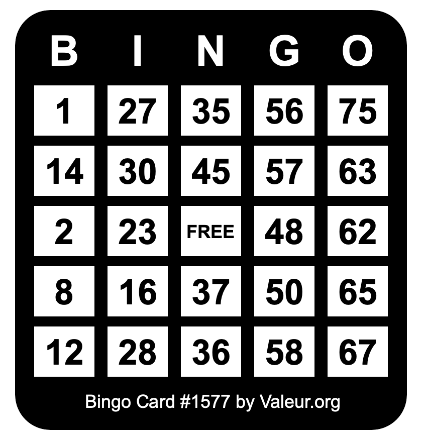 Bingo Card #1577