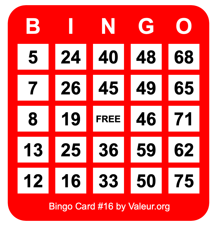 Bingo Card #16 Bingo Card #16