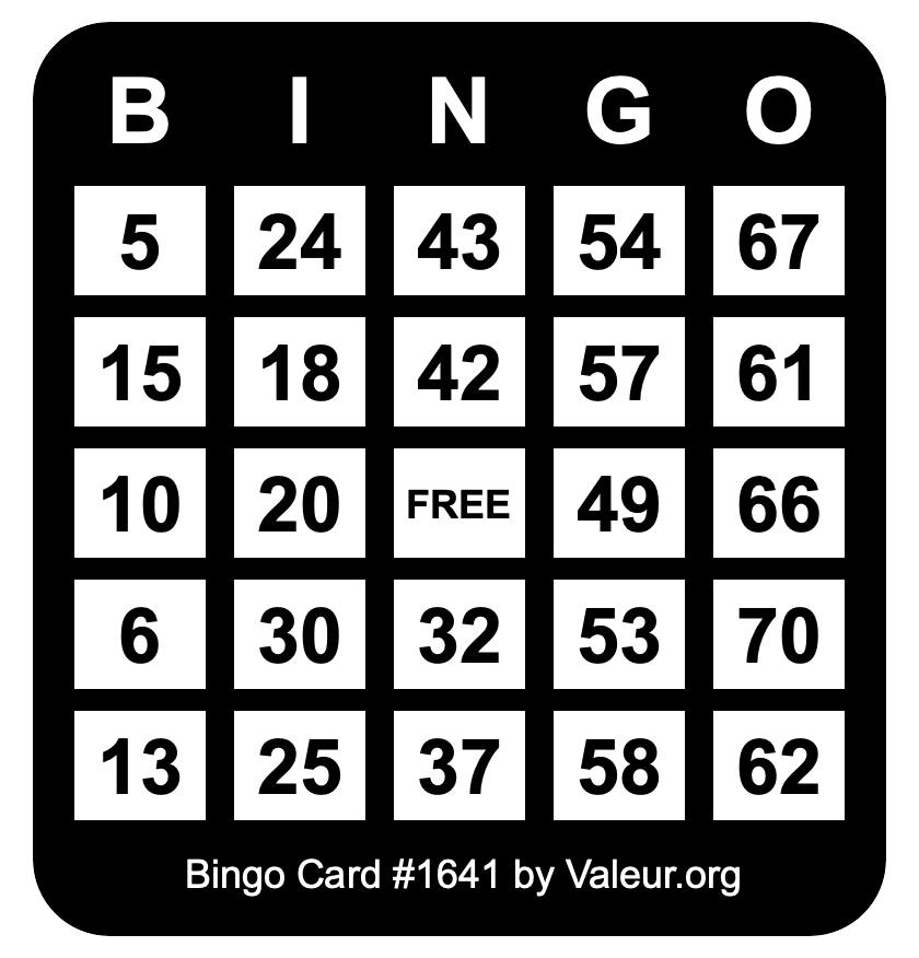 Bingo Card #1641