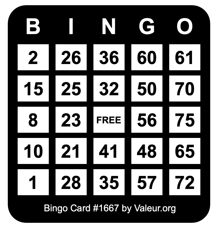 Bingo Card #1667