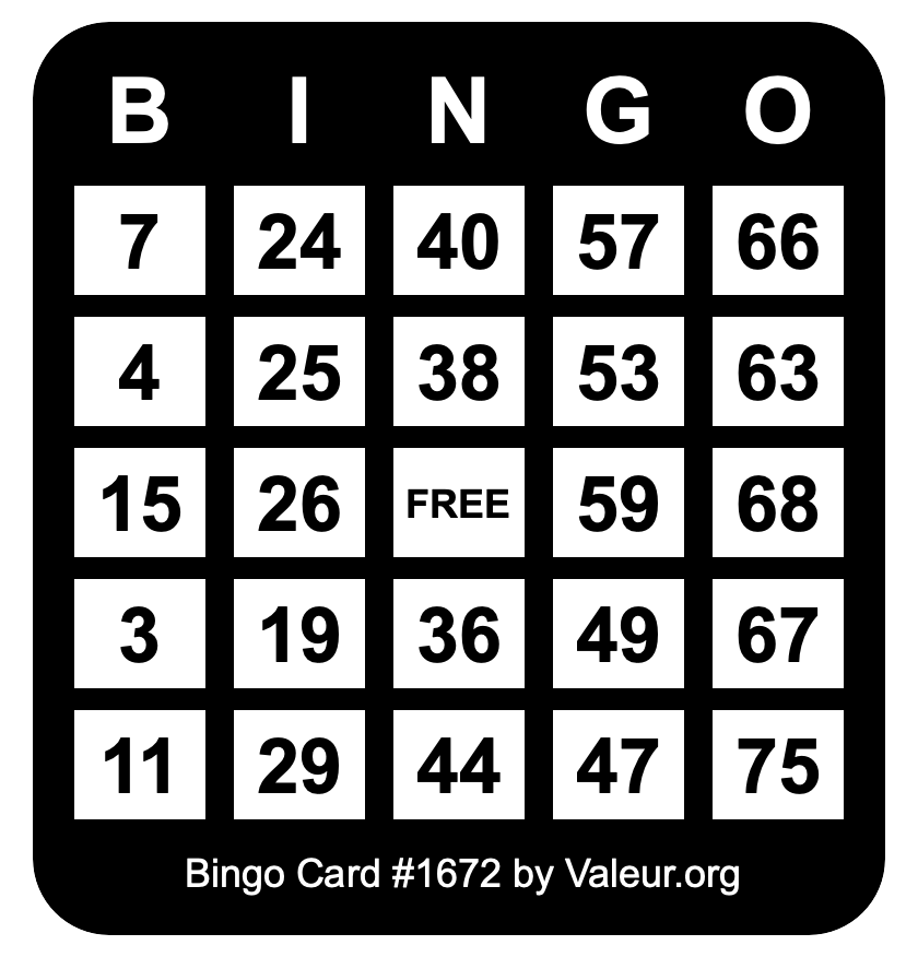 Bingo Card #1672