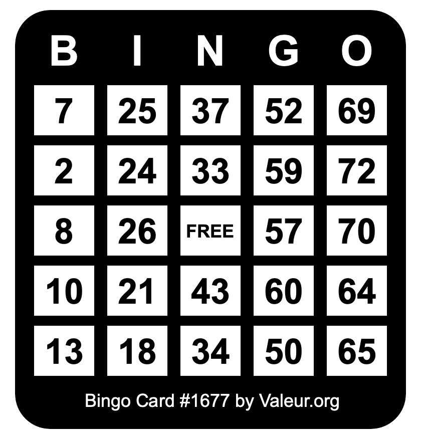 Bingo Card #1677