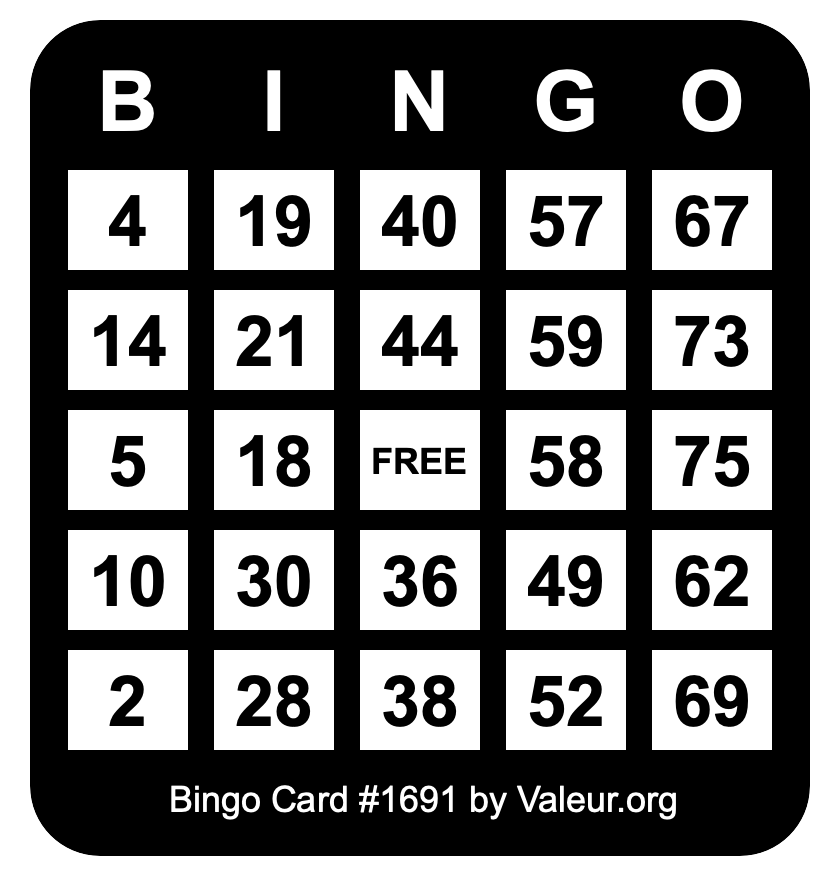 Bingo Card #1691