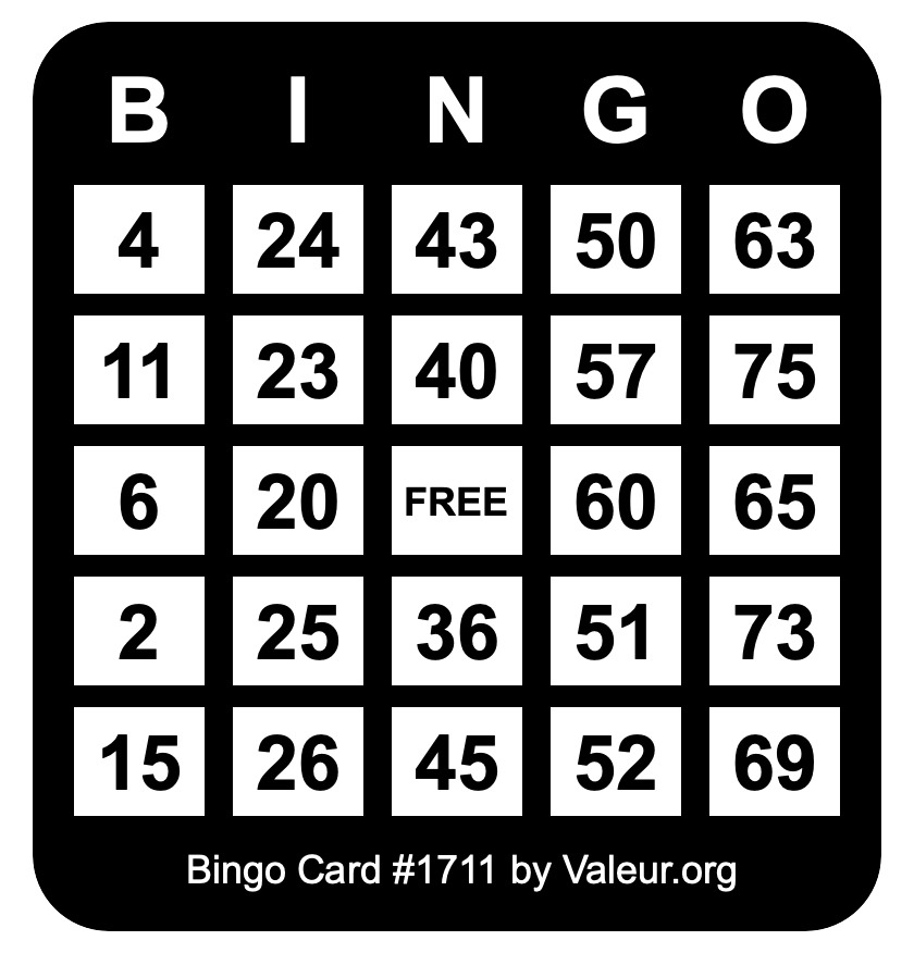 Bingo Card #1711