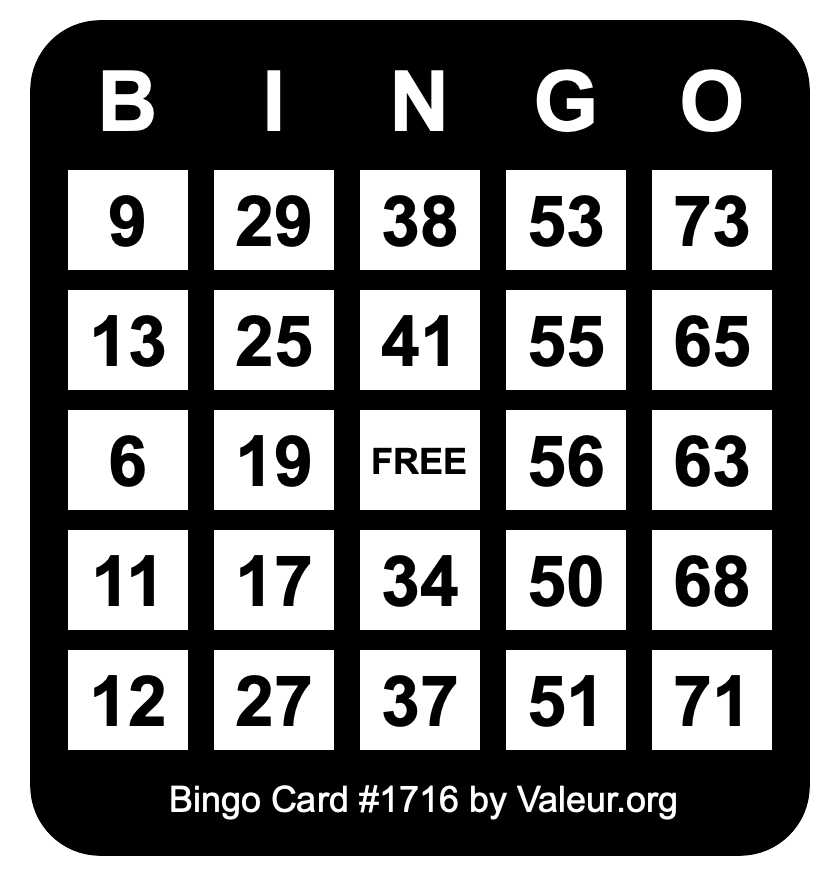 Bingo Card #1716