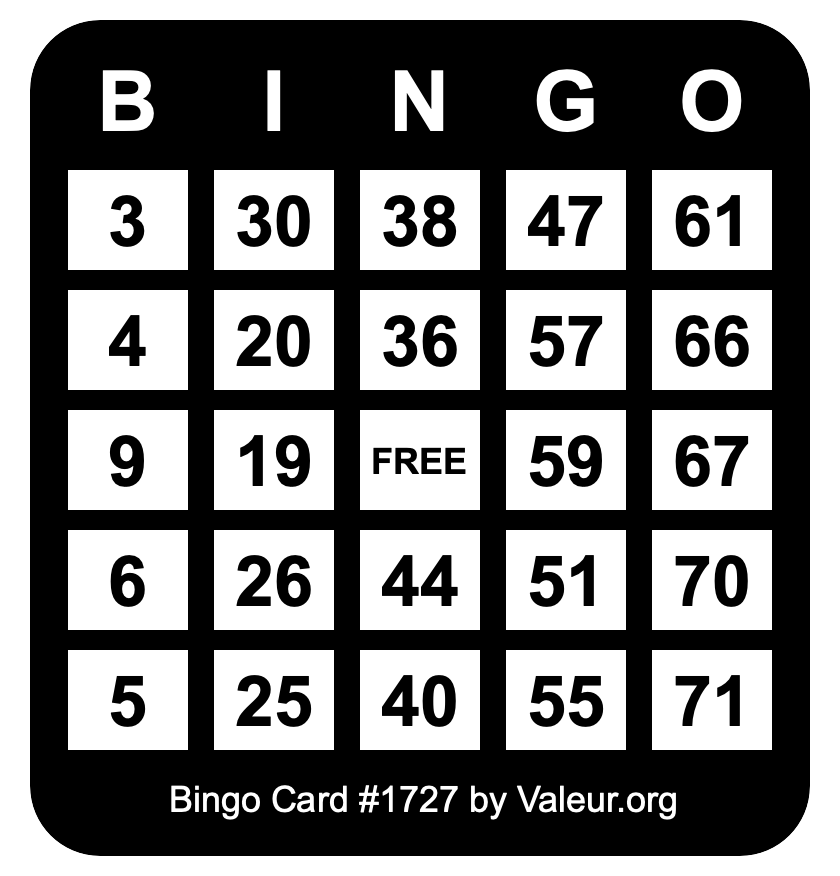 Bingo Card #1727