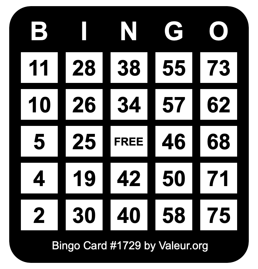 Bingo Card #1729