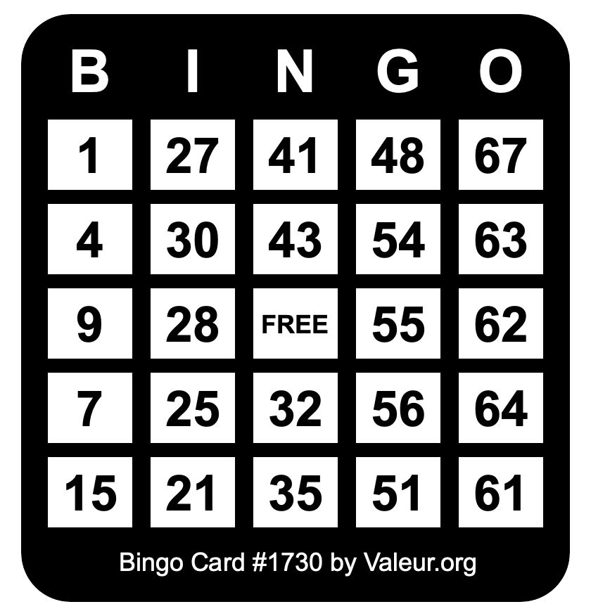 Bingo Card #1730