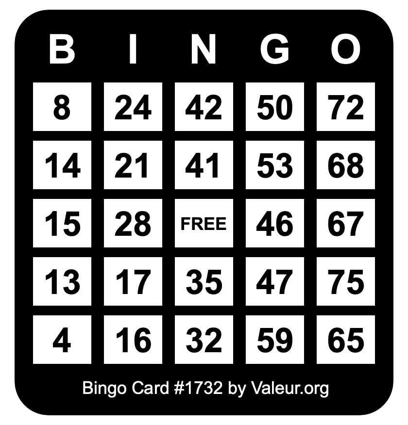 Bingo Card #1732