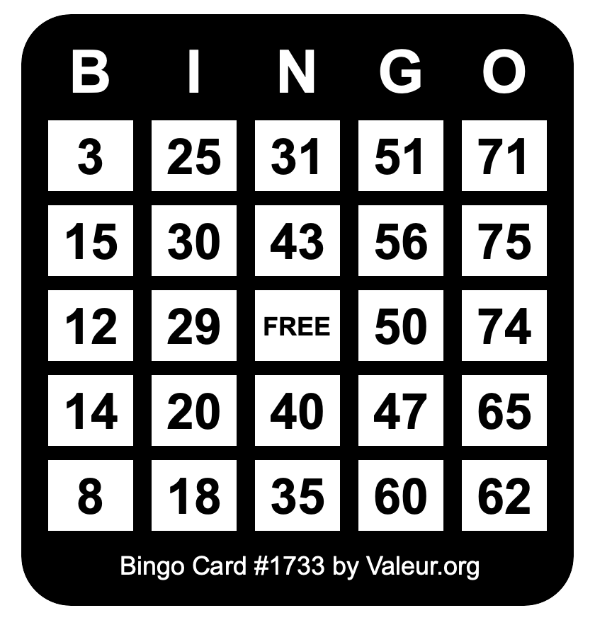 Bingo Card #1733