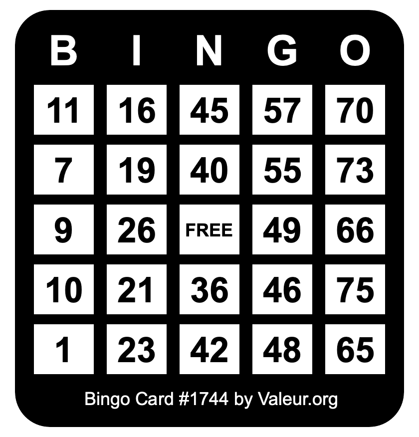 Bingo Card #1744
