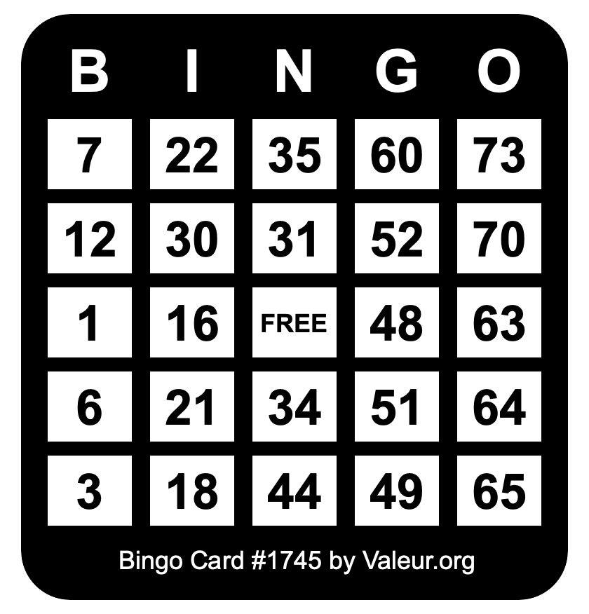 Bingo Card #1745