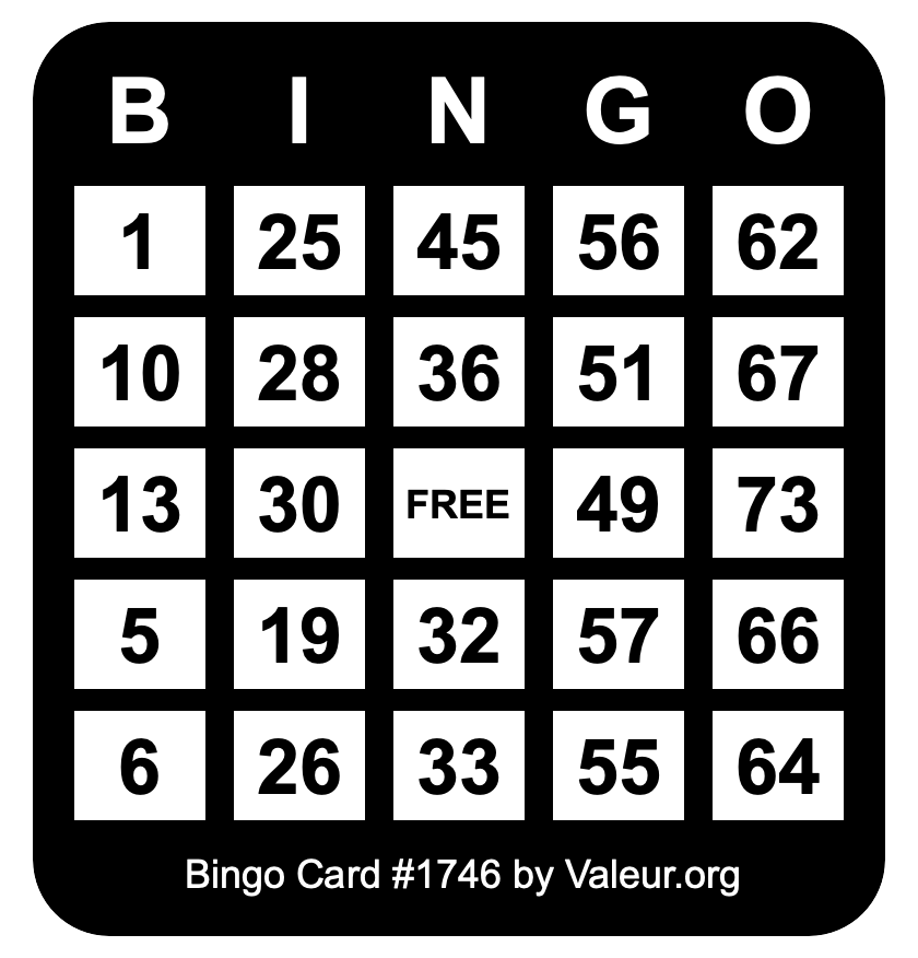 Bingo Card #1746