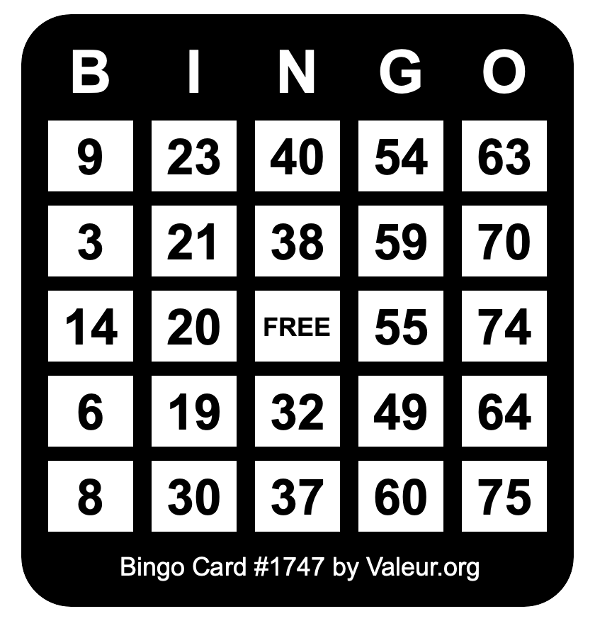 Bingo Card #1747