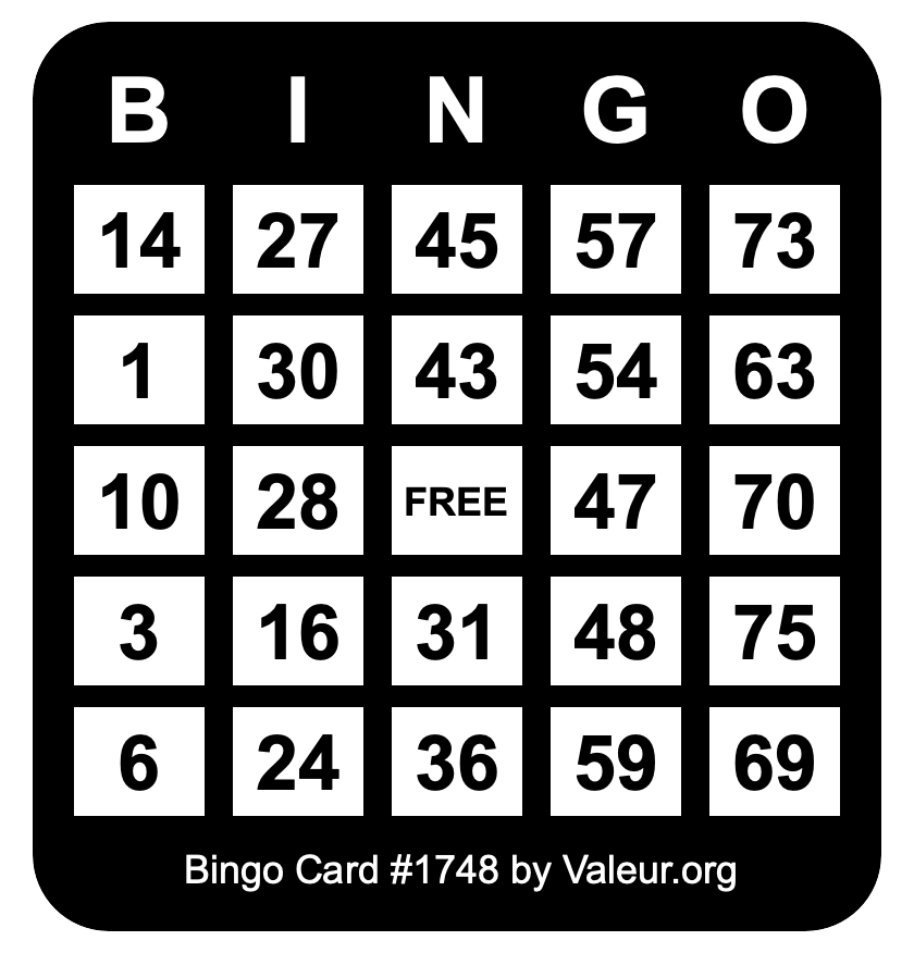 Bingo Card #1748