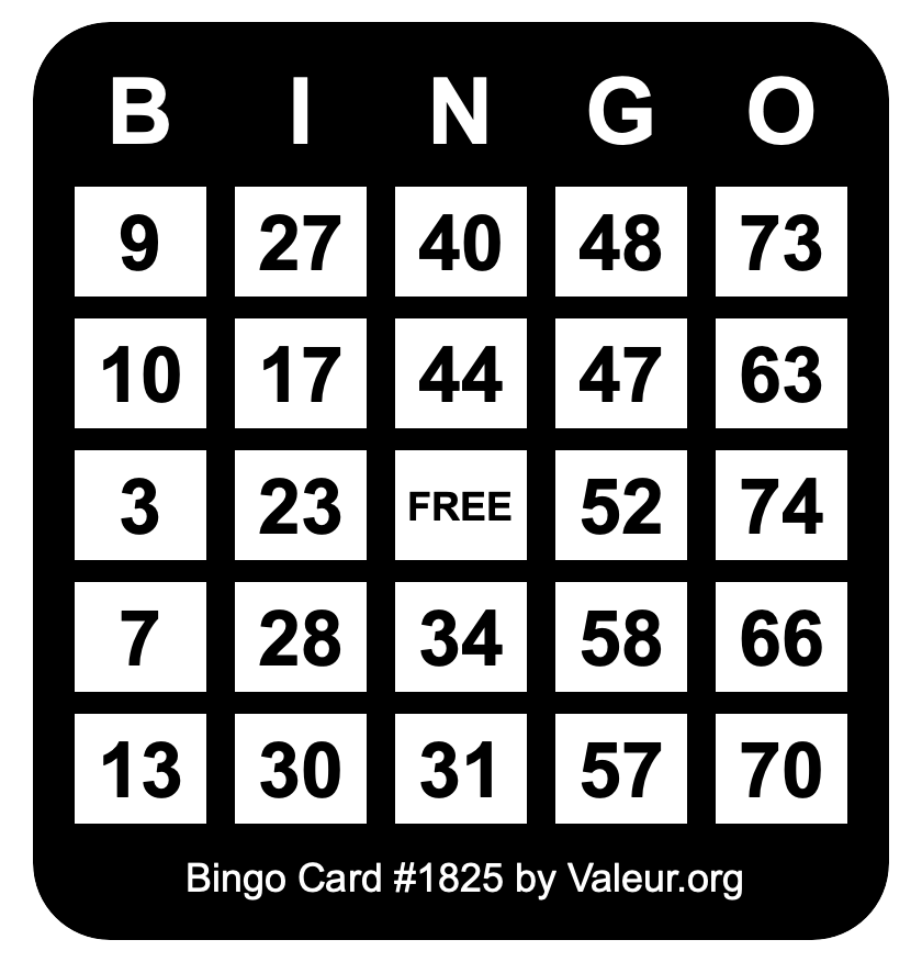 Bingo Card #1825