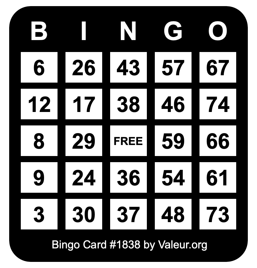 Bingo Card #1838