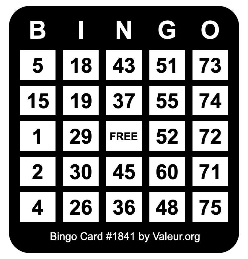 Bingo Card #1841