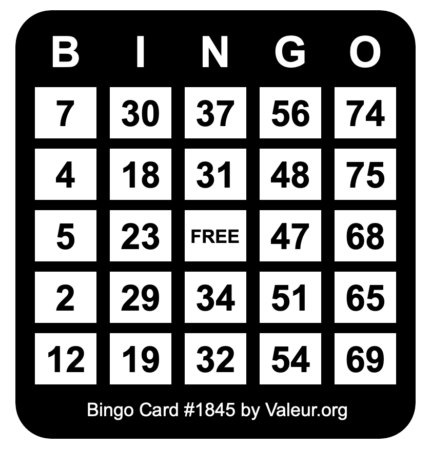 Bingo Card #1845