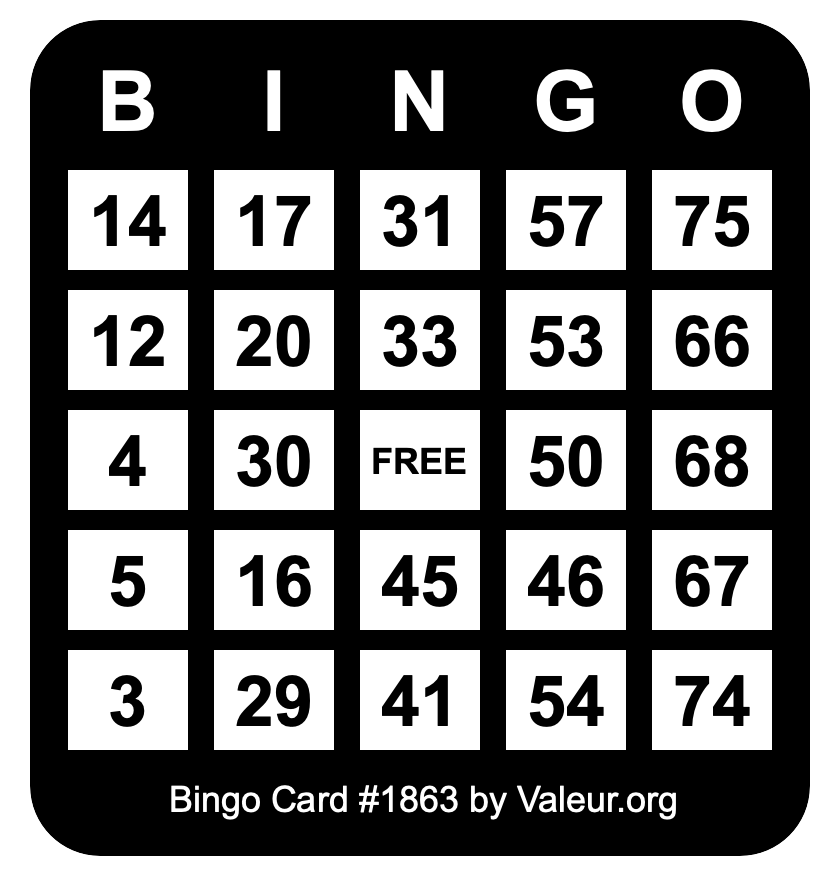 Bingo Card #1863