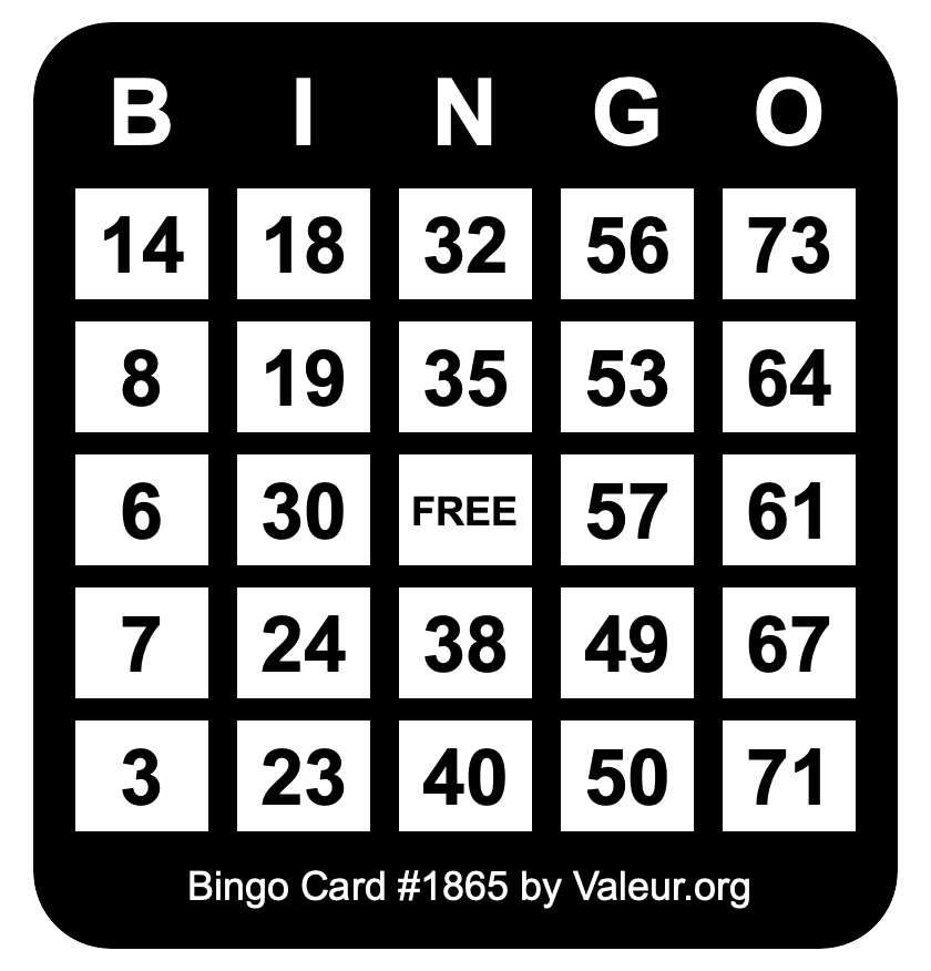 Bingo Card #1865