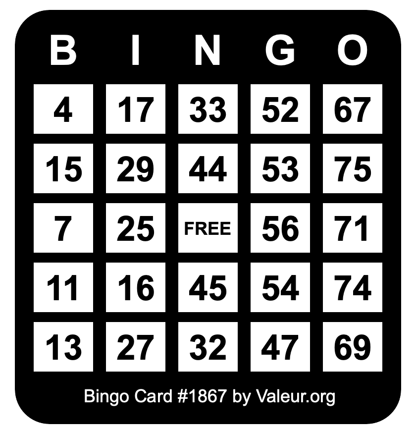 Bingo Card #1867