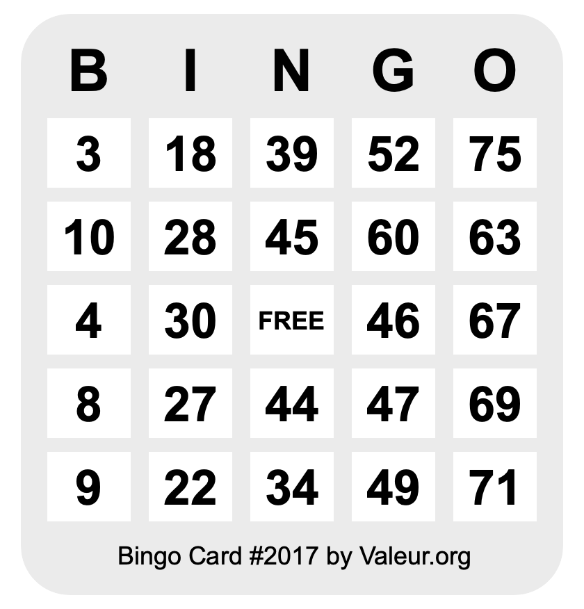 Bingo Card #2017