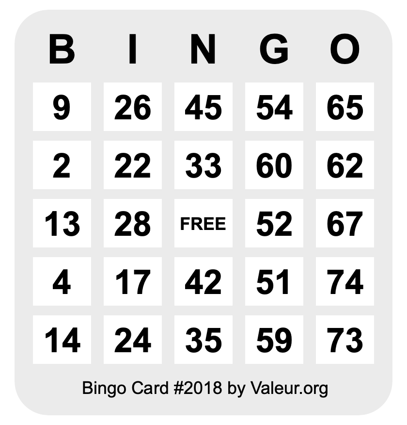 Bingo Card #2018