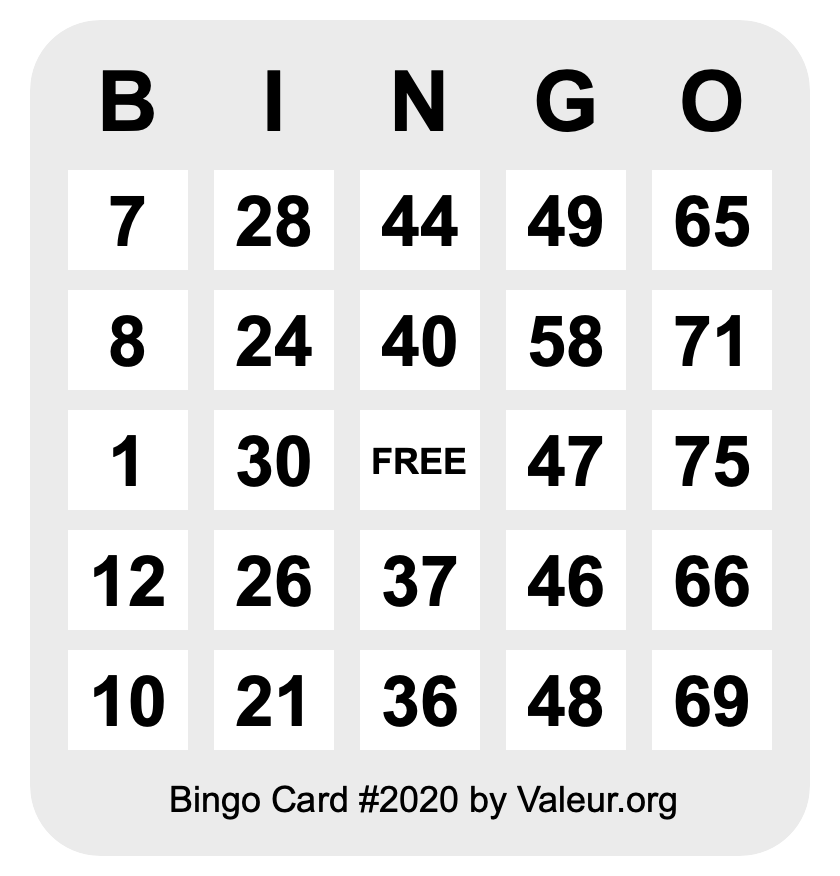 Bingo Card #2020