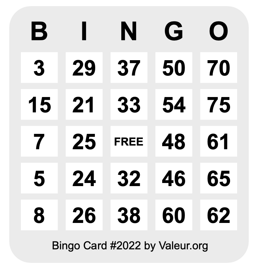 Bingo Card #2022