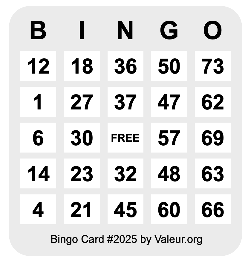 Bingo Card #2025