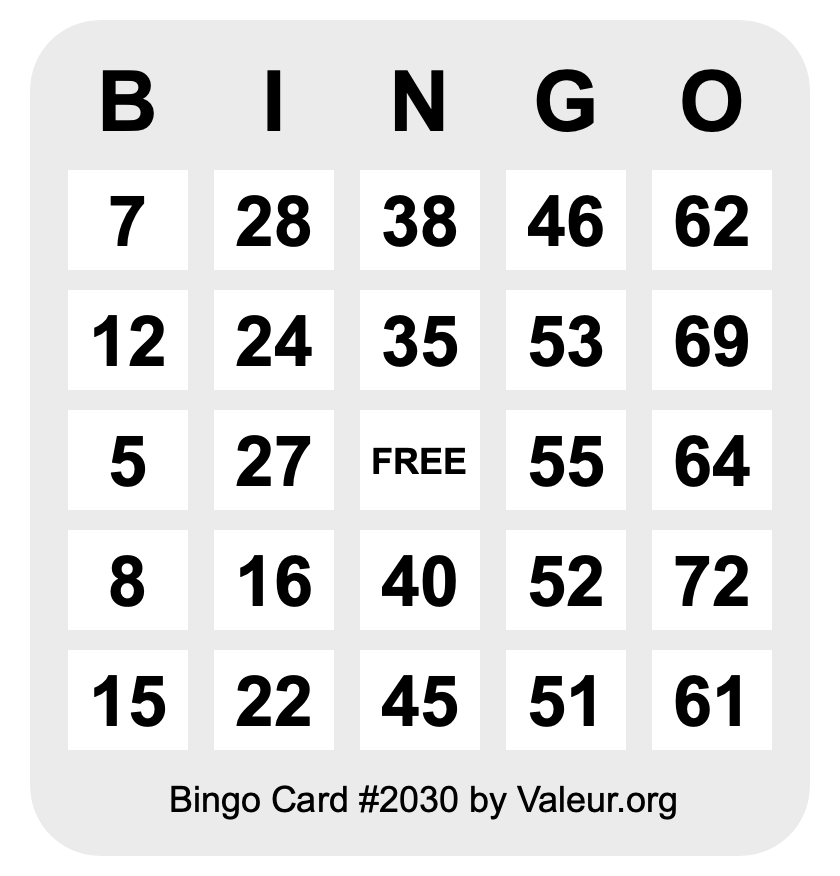 Bingo Card #2030