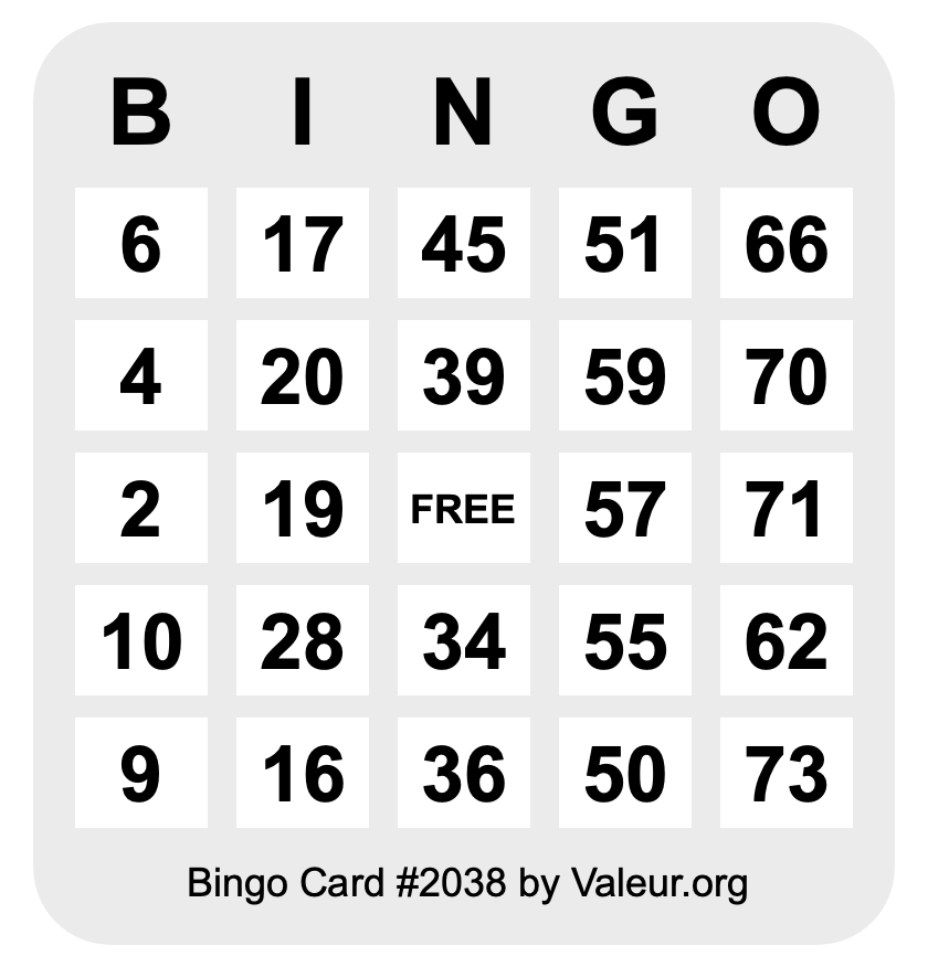 Bingo Card #2038