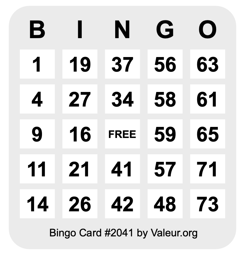 Bingo Card #2041