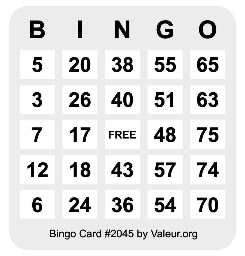 Bingo Card #2045