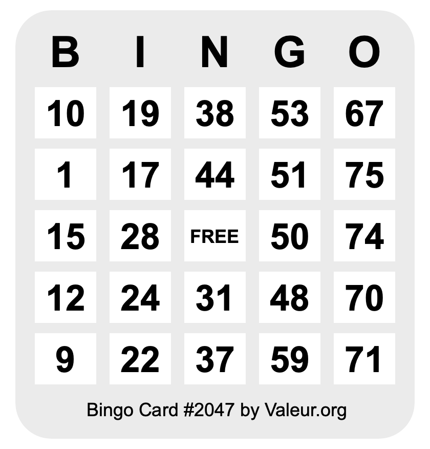 Bingo Card #2047