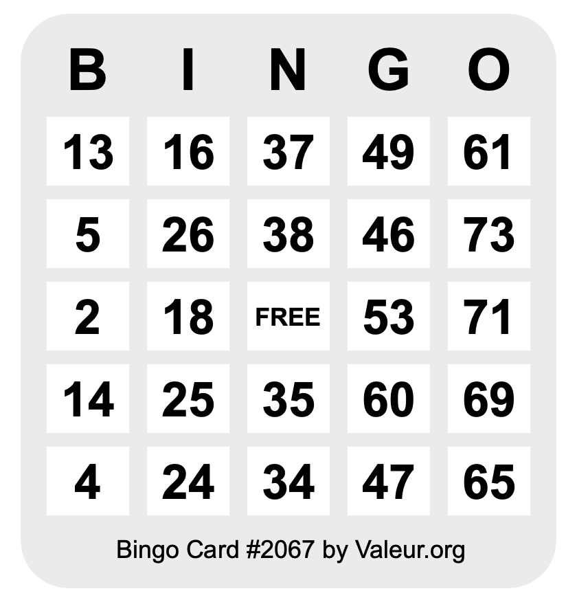 Bingo Card #2067