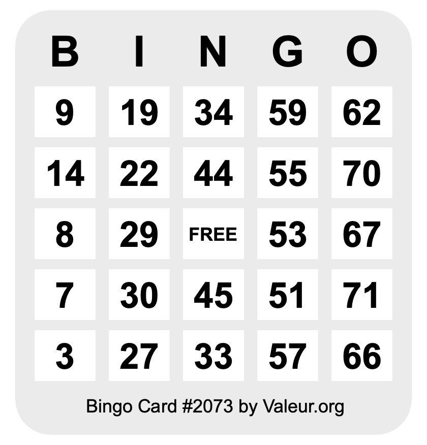 Bingo Card #2073