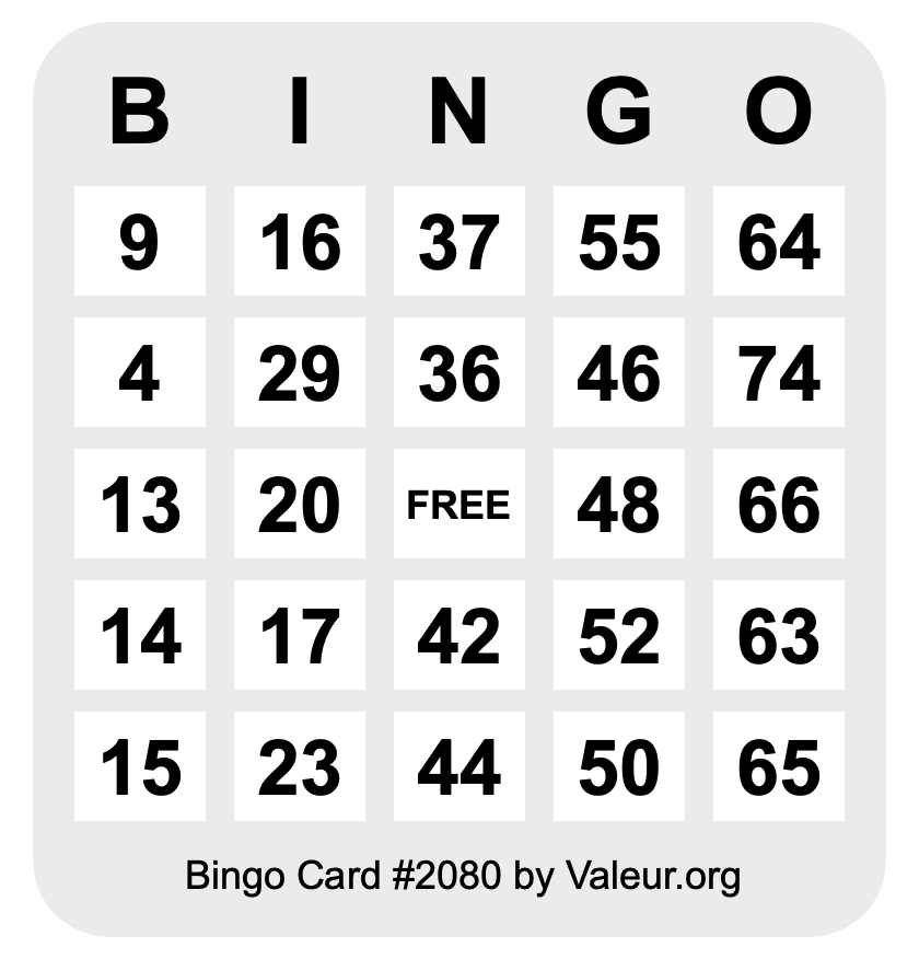 Bingo Card #2080