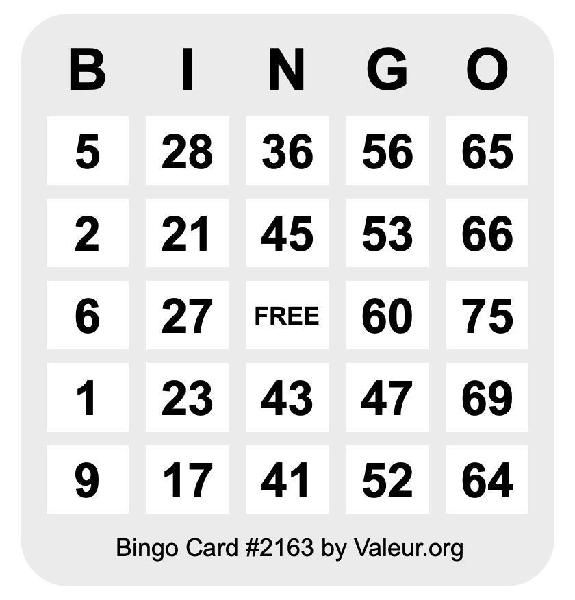 Bingo Card #2163