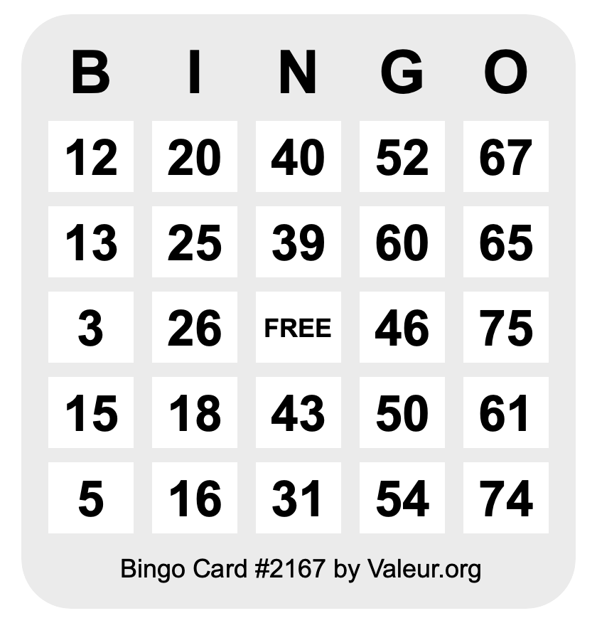 Bingo Card #2167