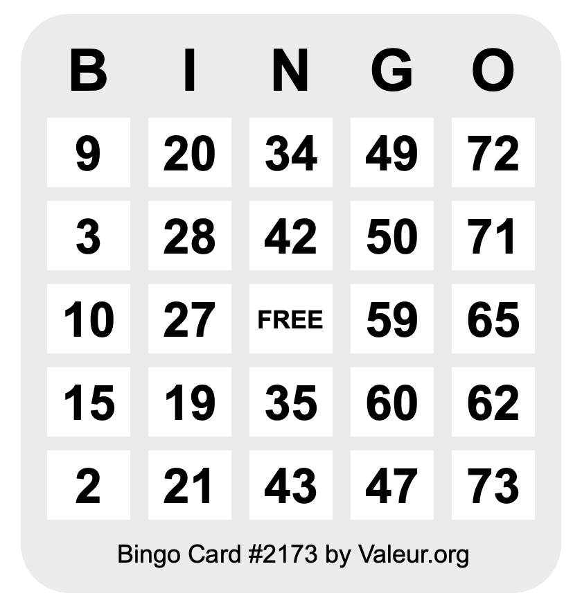 Bingo Card #2173