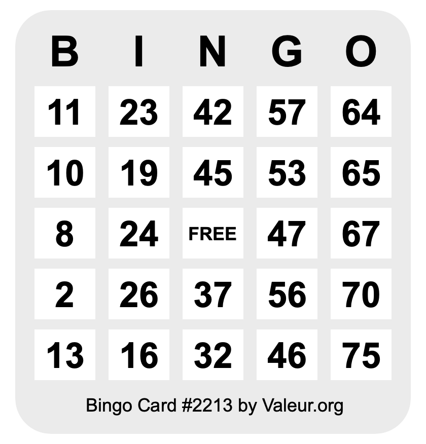 Bingo Card #2213